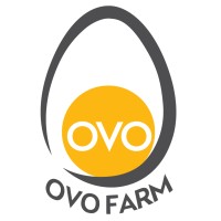 ovo 
